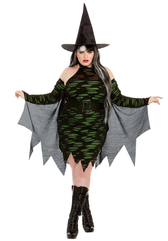 Plus Size Miss Enchantment Adult Women's Costume