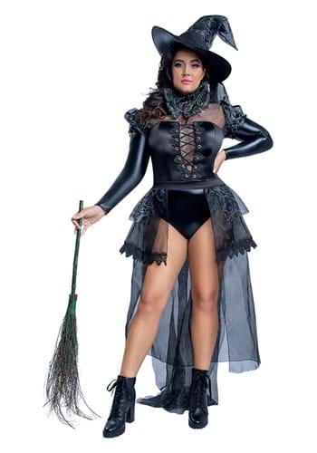 Plus Size Wicked Witch Costume for Women's