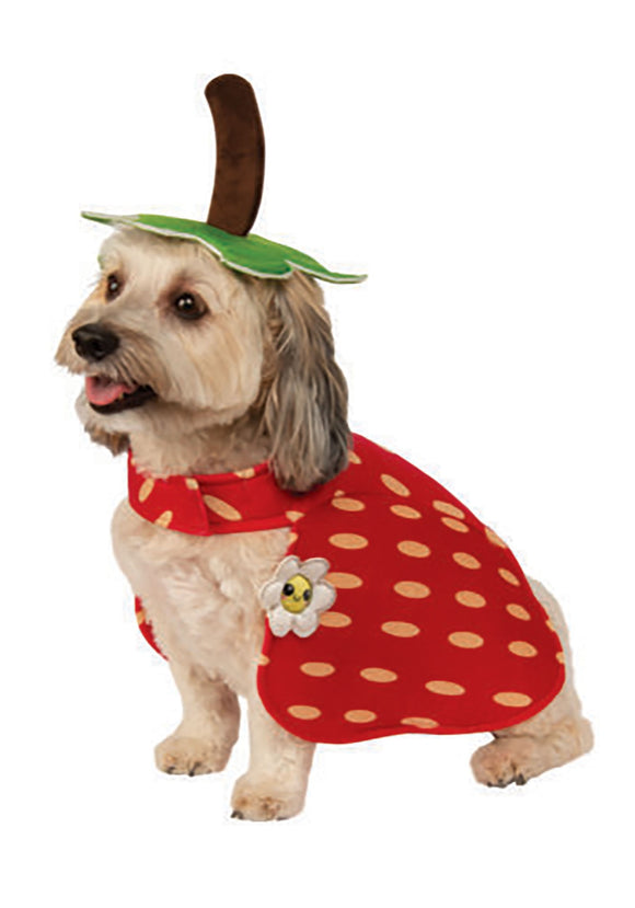 Dog Yummy Strawberry Costume